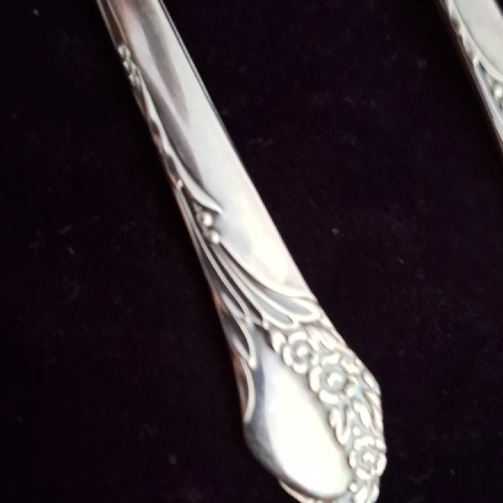 Elegant Silver Spoons Set